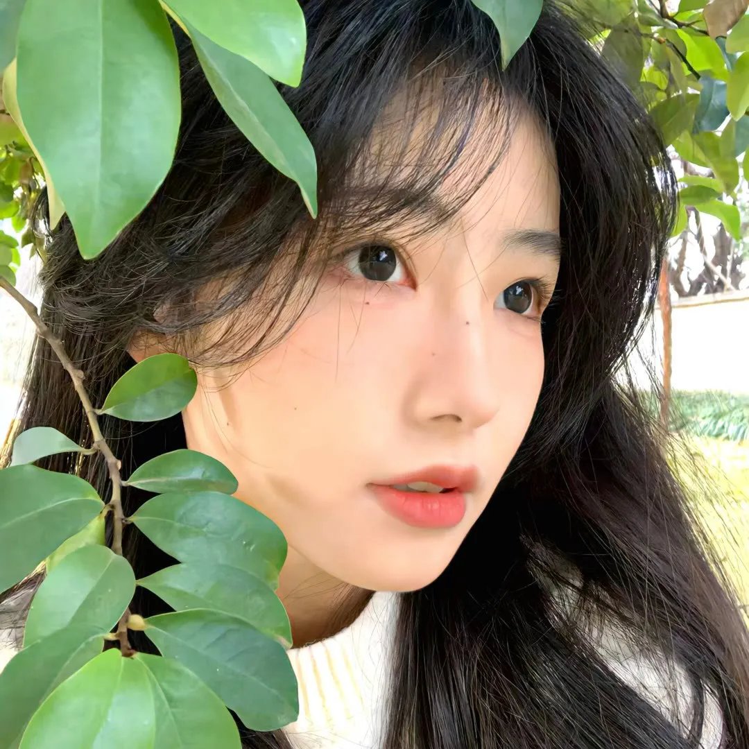 及笄年华